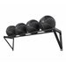 Power Systems Wall-Mounted Med Ball - RACK ONLY | 27187 Sample with Med Ball