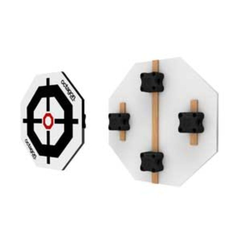 2 x Ladder Wall Target