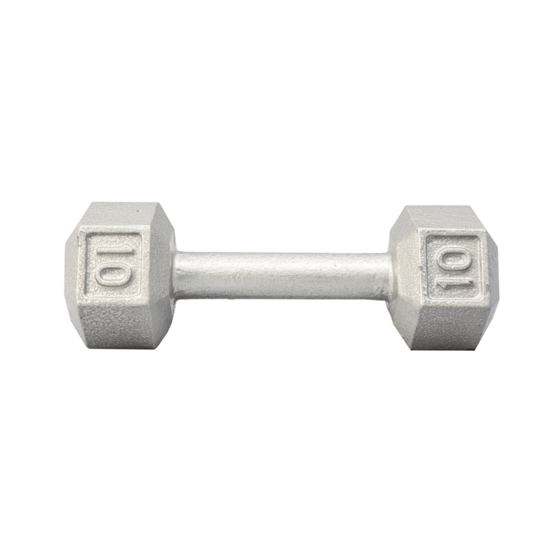 3480  YORK Cast Iron Hex Dumbbell 10 lb