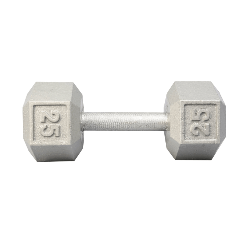 3480  YORK Cast Iron Hex Dumbbell 25 lb