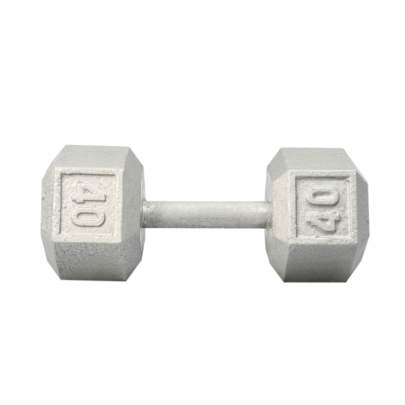 3480  YORK Cast Iron Hex Dumbbell 40 lb