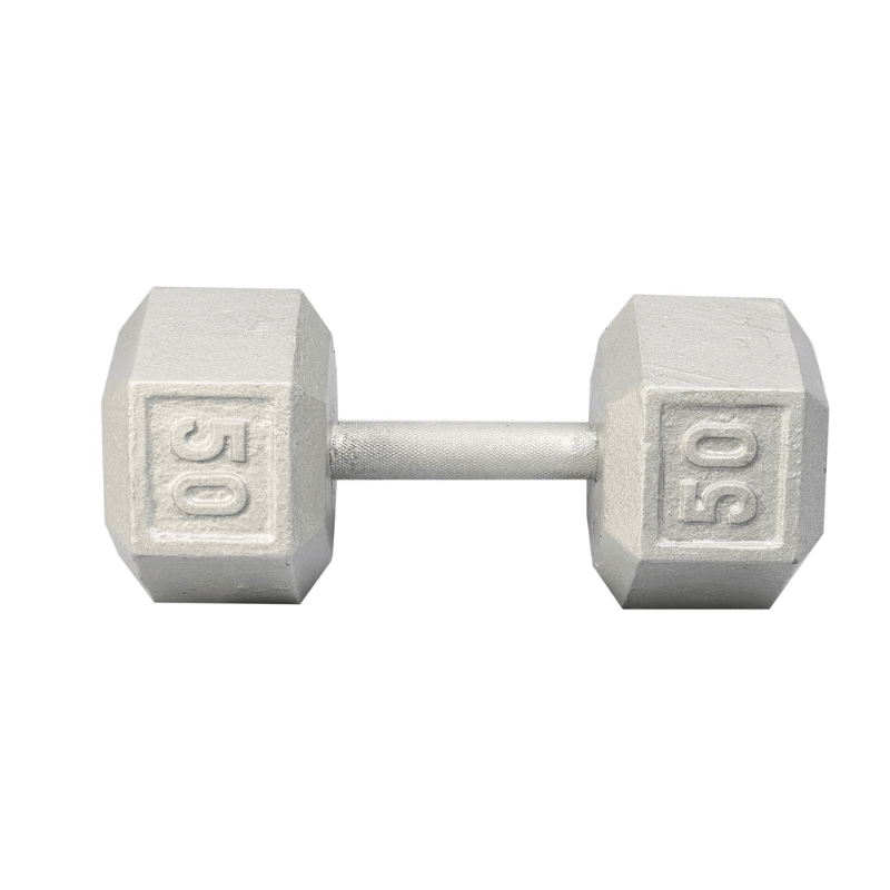 3480  YORK Cast Iron Hex Dumbbell 50 lb