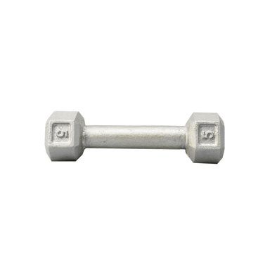 3480  YORK Cast Iron Hex Dumbbell  5 lb