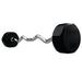 80 lb EZ Curl Fixed Rubber Barbell
