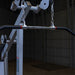 Body-Solid Series II Lat Pulldown & Seated Row - S2LAT Dual Pulley Lat Pulldown Details