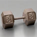 Body-Solid 100 lb Cast Iron Hex Dumbbells inside Gym 