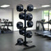 Body-Solid Ball Rack with 10 Dual Grip Balls Package - GMR20-DUALPACK Set inside Gym
