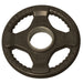 Body-Solid Color Rubber Grip Olympic Plates 2.5 lb Rubber Grip Plates