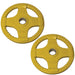 Body-Solid Color Rubber Grip Olympic Plates 25 lb Rubber Grip Plate Pair