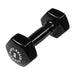 Body-Solid Commercial Vinyl Dumbbell Package 8 lb Vinyl Dumbbell