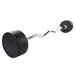 Body-Solid Fixed Weight EZ Curl Barbells - SBZ 90 lb ez curl barbell