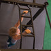 Body-Solid Multi Chin Up Cross Member - SPRCUA Top View Sample Workout