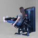 Body-Solid Series II Leg Extension & Leg Curl - S2LEC Leg Extension Exercise Back View
