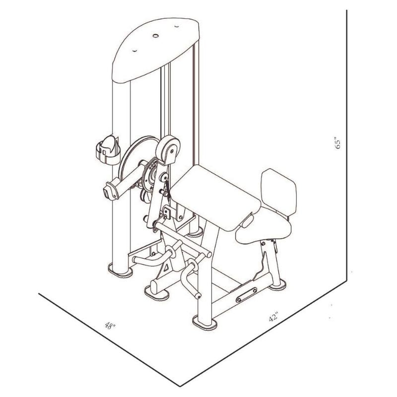 BodyKore Isolation Series - Bicep Tricep - GR634 Dimension