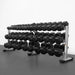 BodyKore RB5100 5-100lb Rubber Hex Dumbbell Set Hexagon-shaped, no roll heads for easy storage and stability