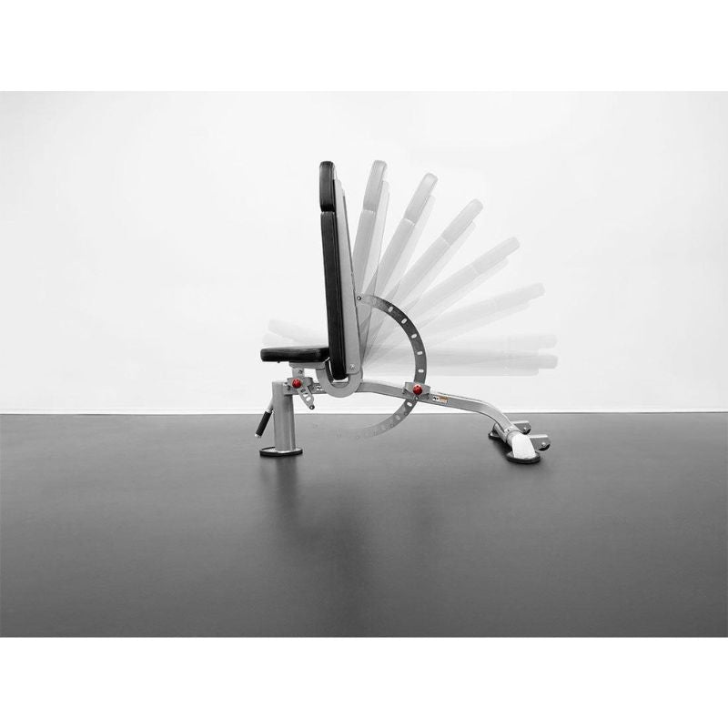 BodyKore Elite Series- CF2106- Adjustable Bench 8-position back pad offers a customizable workout (flat, decline and incline positions)