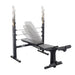 Body Solid Best Fitness BFOB10B Olympic Bench Adjustable Flat to incline