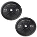 Body Solid Cast Iron Olympic Plates  45 kg cast iron olympic plate Pair