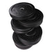 Body Solid OBPH Premium Bumper Plates 260 lb bumper plate 2 plates each