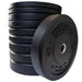 Body Solid OBPH Premium Bumper Plates 260 lb bumper plate set