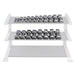 Body Solid SDS Grey Hex Dumbbell Sets Dumbbells with 3 Tier Dumbbell Rack
