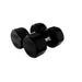 COMMPAC-TSDR100 TROY 5-100lb Rubber Encased 12-Sided Dumbbell 100lb Pair