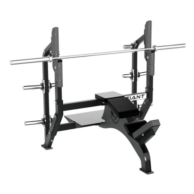 Defiant Strength Olympic Incline Bench Press with Plate Storage – DS-944 Angled View