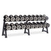 Eclipse Pro Style Dumbbell Pack 55lb – 100lb with 2 Tier Rack