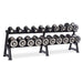Eclipse Pro Style Dumbbell Pack 5lb – 50lb with 2 Tier Rack