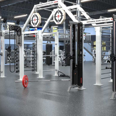 Escape Fitness HTS The Hub Training System TYPE 01 - FCD05515-02R Sample installed in the gym