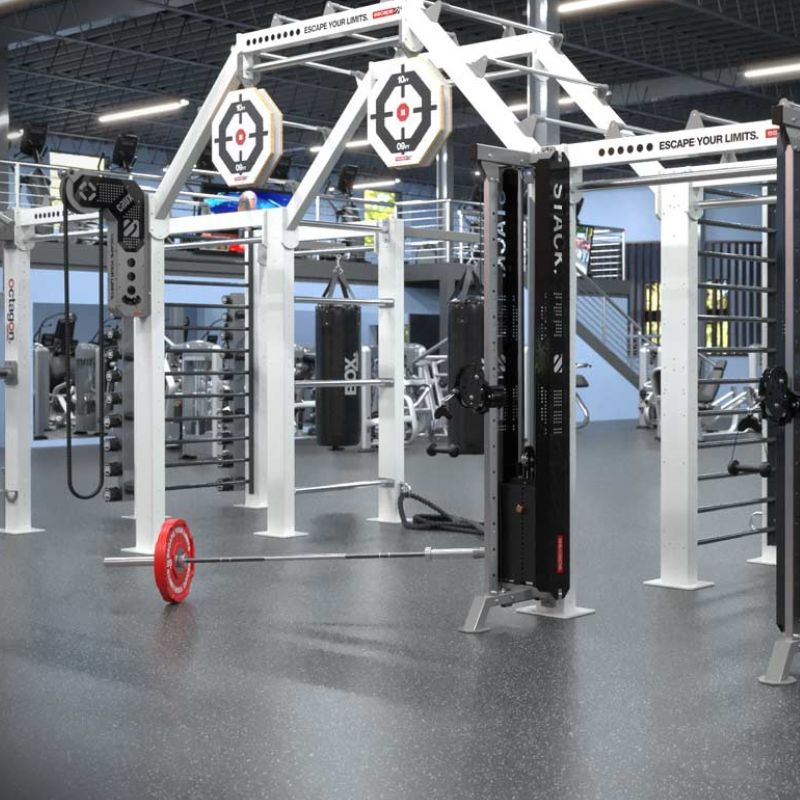 Escape Fitness HTS The Hub Training System TYPE 01 - FCD05515-02R Sample installed in the gym