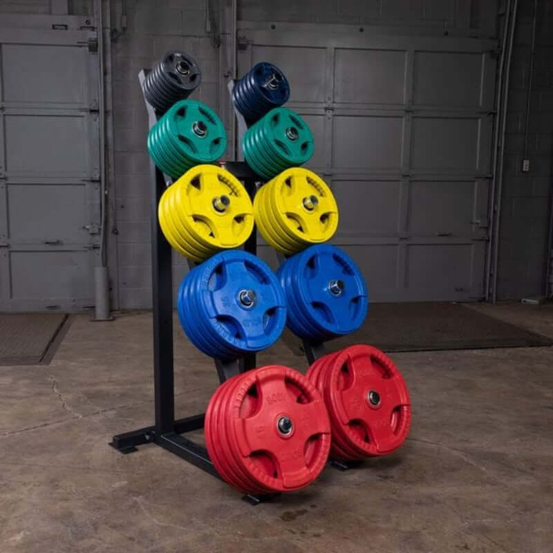 GWT76  Body Solid Capacity Olympic Weight Tree with Plates