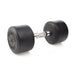 Hampton Dura-Pro Urethane Dumbbell 30 lbs on a white background