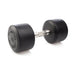 Hampton Dura-Pro Urethane Dumbbell 40 lbs on a white background