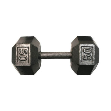 IHD USA by Troy Solid Iron Gray Cast Hex Dumbbell  50 lb