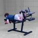 Leg Curl workout using Body-Solid GLCE365B Leg Extension Curl Machine