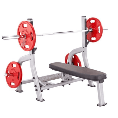 NOFB  Steelflex Commercial Olympic Flat Bench Sample with Barbell