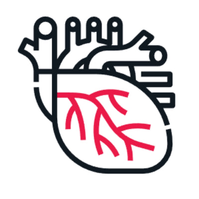 Increase Circulation