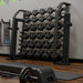 Power Systems Denali Series Barbell Plate Rack with Plates Set inside Gym