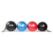 Power Systems Elite Stability Ball Wall Storage Rack with Different Stability Balls