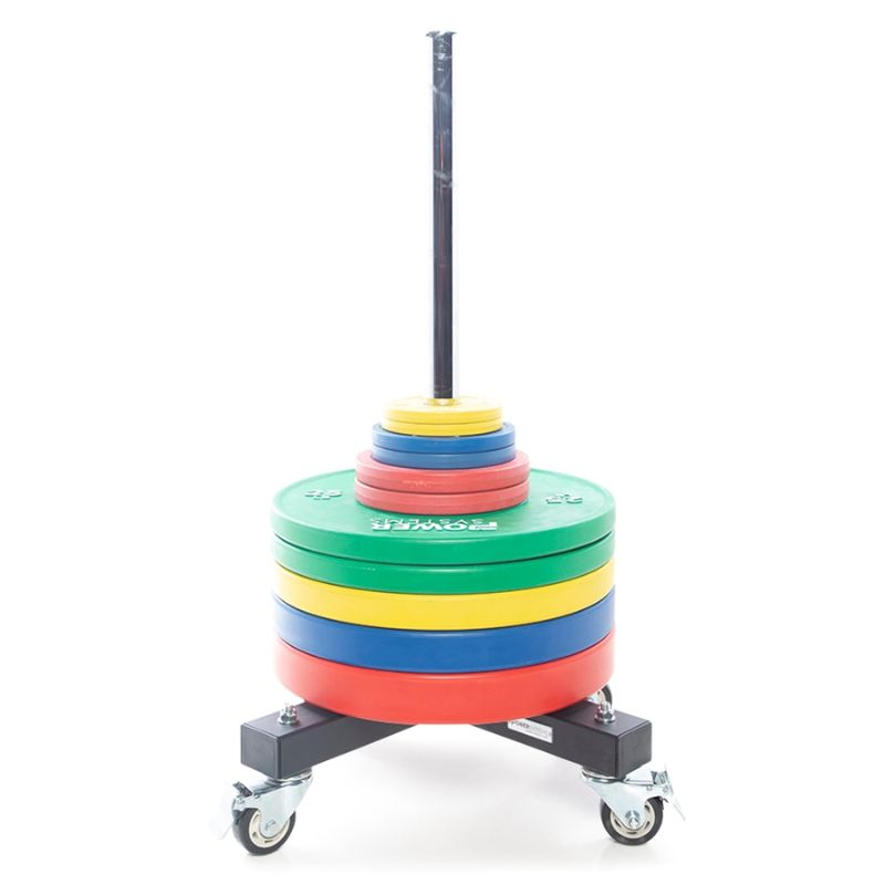 Power Systems Training Plate Olympic Colors 55 lbs