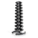 RACKVDB Escape Fitness Vertical Dumbbell Rack Rack Only.