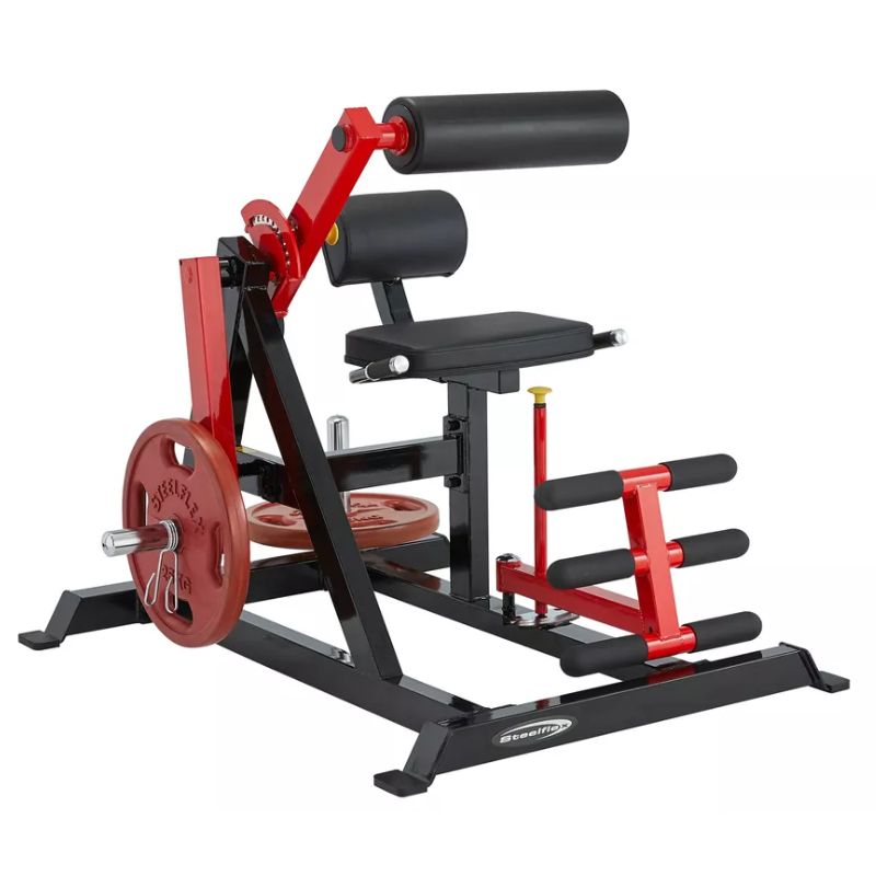 Steelflex PL2400 Ab Crunch_Back Extension with 2 Weight Plates Adjusted