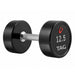 TAG Fitness Premium Ultrathane Dumbbell (Pairs) 12.5 lb
