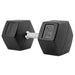 TAG Fitness Rubber Hex Dumbbell 75 lb