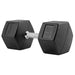 TAG Fitness Rubber Hex Dumbbell 45 lb
