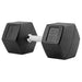 TAG Fitness Rubber Hex Dumbbell 55 lb