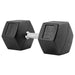 TAG Fitness Rubber Hex Dumbbell 65 lb