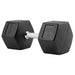 TAG Fitness Rubber Hex Dumbbell 95 lb