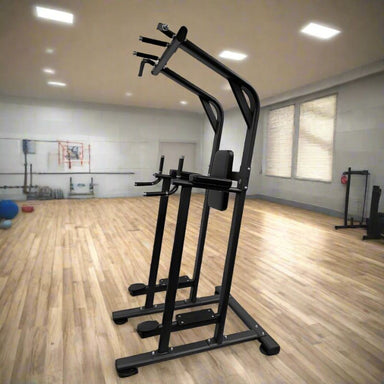TAG Fitness Vertical Knee Raise Chin Dip inside Gym